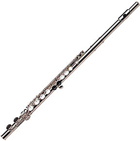 Gemeinhardt 2SP Flute Gold Lip Plate Reverb