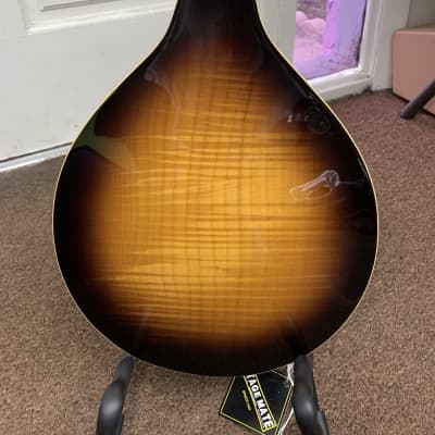 GOLD TONE GM-6 6-string Mandolin style GUITAR new GM6 Solid Top w/ Gig Bag image 6
