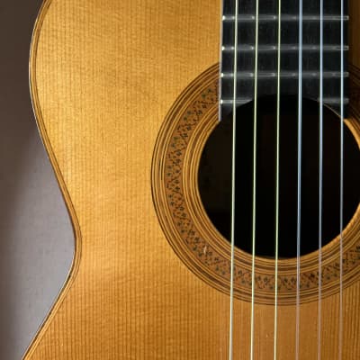 1983 Gary Southwell Classical Brazilian Rosewood / Spruce for sale