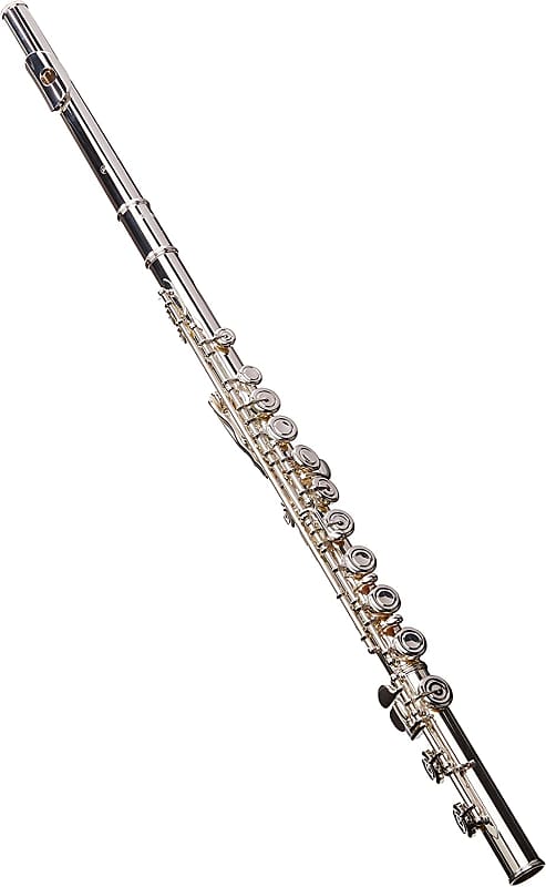 Yamaha YFL-221 Student Flute | Reverb