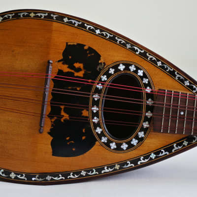 Mandolin - Round back made by Marco Rebora circa early 1900s image 4