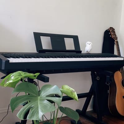 Yamaha P-45 weighted Digital Piano with stand