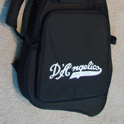 New D'Angelico Premier TD DAPTDCHRCS Electric Guitar, New Custom Gig Bag image 8
