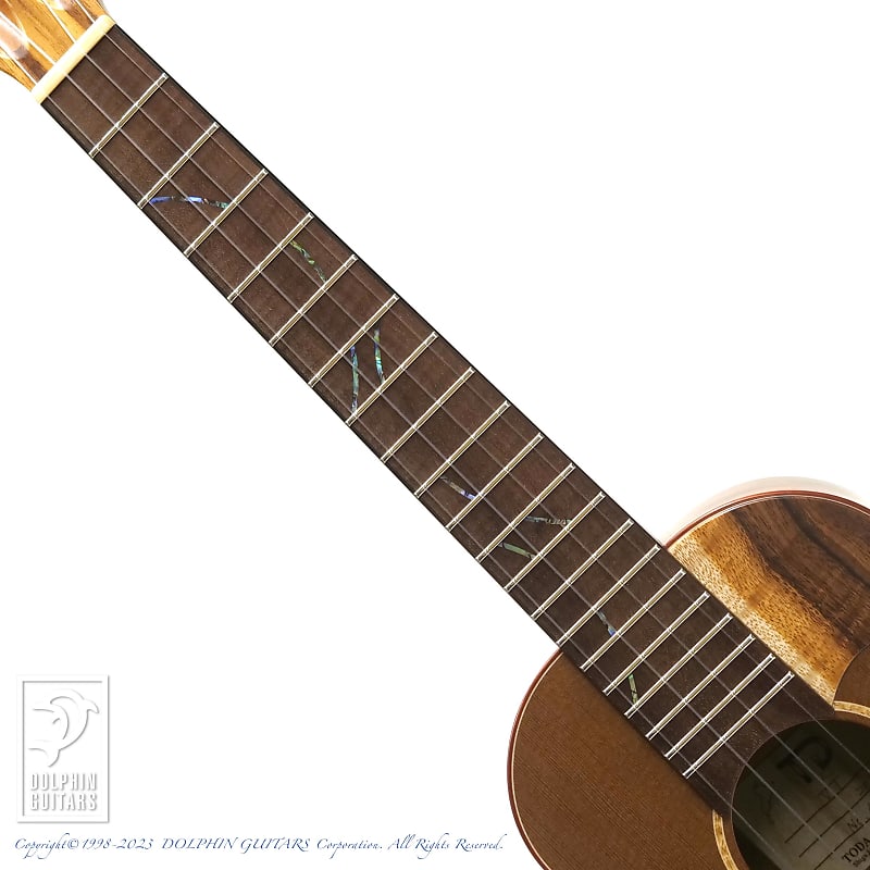 TODA GUITARS VT (Chocolate Cedar & Koa) | Reverb