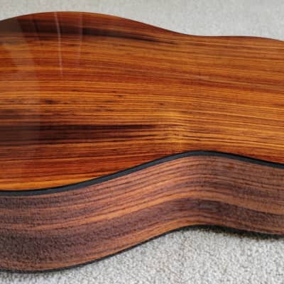 Taylor 217e-SB Plus LTD 50th Anniversary Acoustic Electric Guitar, Tobacco Sunburst, Taylor Case image 9