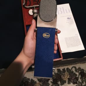 Blue Blueberry Microphone