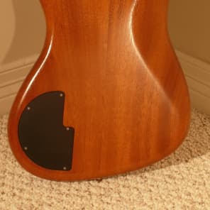 Alembic Electric 6 string bass maple top image 7