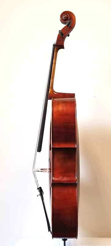 新品チェロ CLAUDIO BACCI 4/4サイズ | 株式会社エルフラット