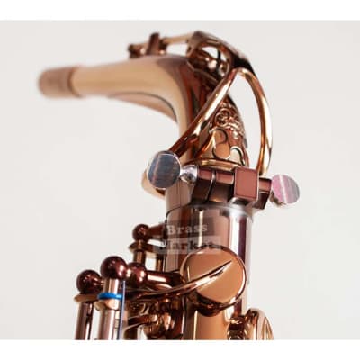 Saxo alto Wood Stone Ishimori Super Custom VL image 4