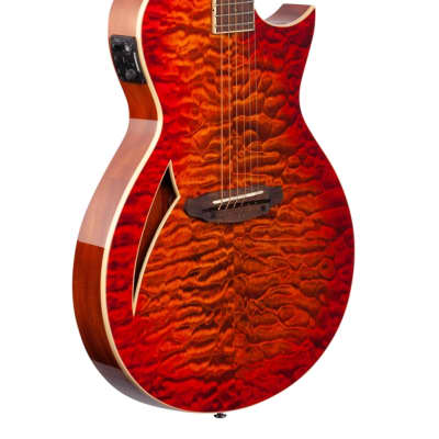 ESP LTD TL6QM Acoustic Electric Thinline Guitar Tiger Eye image 9