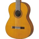Yamaha CG162C Classical Guitar - Cedar Top