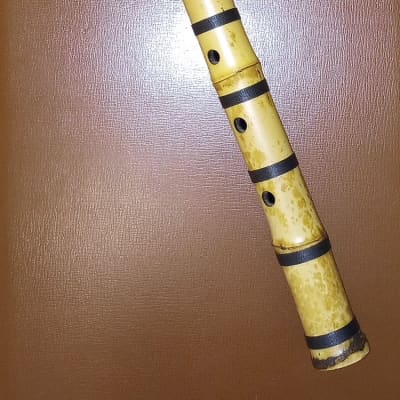 美品/TACHINO CHIE TANZAKU M 2022 / TACHINO CHIE / TANZAKU M / 2305-0817 | r