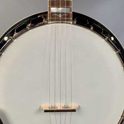 Gold Star GF-100JD Mastertone-style Banjo image 5