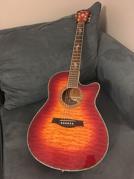 Ibanez aef shop