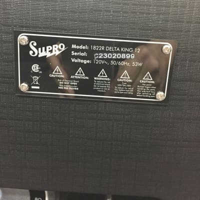 Supro Delta King 12-15W Tube Amp for Guitar-1822R-Classic Sound-Black and Black image 4