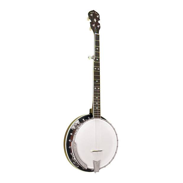 Gold Tone BG-250 Bluegrass 5-String Banjo image 1