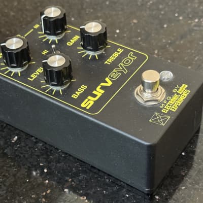 Electronic Audio Experiments Surveyor V2 | Reverb