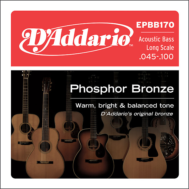 D'Addario EPBB170 Phosphor Bronze Acoustic Long Scale Bass Strings image 1
