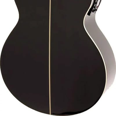 Washburn EA12B Festival Series Mini Jumbo Cutaway Basswood Top 6-String Acoustic-Electric Guitar image 6