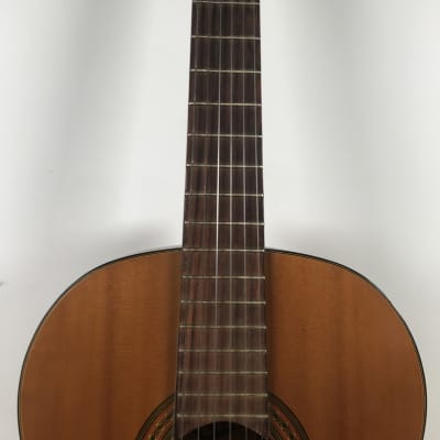 Combo GS10 Acoustic Guitar Selmer image 3