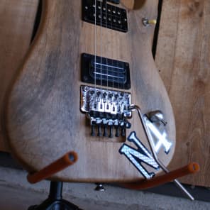 washburn N4 RELIC.オリジナルfloydrose 真新しく