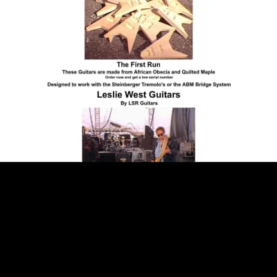 Ed Roman Leslie West Steinberger TransTrem Rare Flying V Rocket Guitar image 9