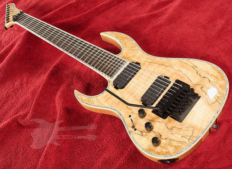 B.C. Rich Shredzilla 8 Prophecy Exotic Archtop with Floyd