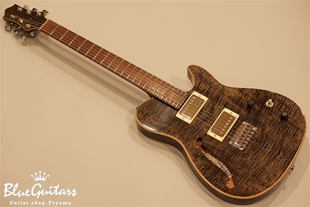 Nishgaki guitars shop for sale