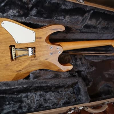 Canalli Spalted SS, MBit Custom Shop, Reclaimed / Exotic Woods, Stainless Steel Tremolo Bridge, Hand-wound Pickups, Brazilian, Superstar Style image 9