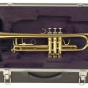Palatino WI-815-TP Bb Trumpet with Case, B-Flat Trumpet