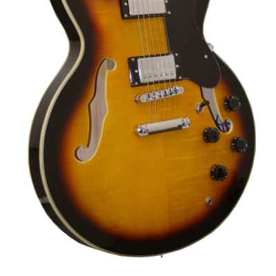 Glen Burton GE355-TS Memphis Semi Hollowbody Maple Top 6-String Electric Guitar w/Gig Bag & Strap for sale