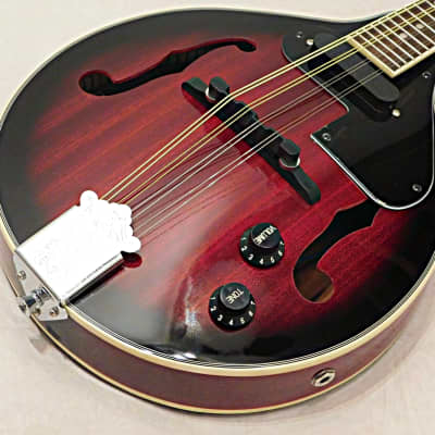 Savannah SA-115-E Madison Acoustic Electric A Style Mandolin image 7