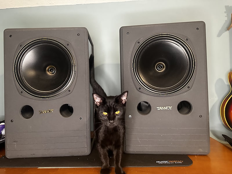 Tannoy System 12 - Black