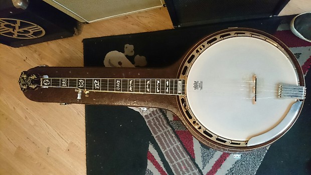 Ibanez artist hot sale banjo