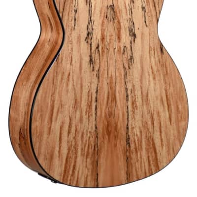 Teton Exotic Series Spruce and Spalted Maple Grand Concert Acoustic Guitar w/ Fishman Electronics image 2