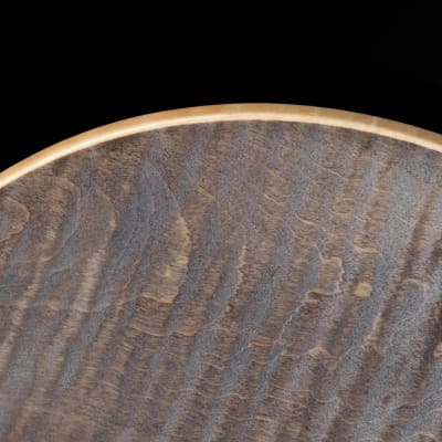 PRS CE 24 - Faded Grey Black 2023 image 17