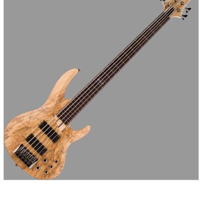 ESP LTD B-205SM Fretless Bass Guitar in Natural Stain Finish image 3