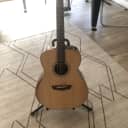 Torrefied Washburn WCG200SWEK Acoustic Electric Bevel Guitar with Case Pickup