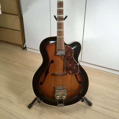Roger Model 50E Cutaway c1955 Sunburst with 1950s tolex cover and photo copy brochure New Price Drop image 1