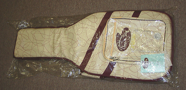 Danelectro amp shop in bag