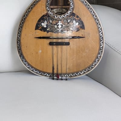 Bruno Klemm. Mandolina. Year 1890 Mandolin. image 1