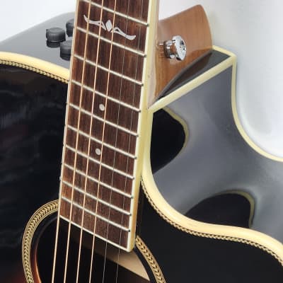 Tagima WS25EQ Dreadnought Cutaway Acoustic/Electric (New) image 9