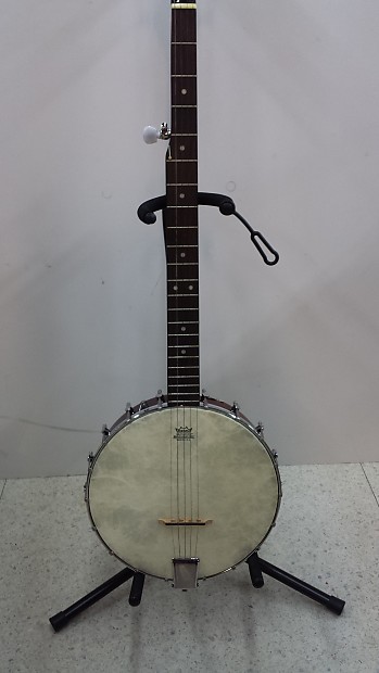 Johnson 5 cheap string banjo