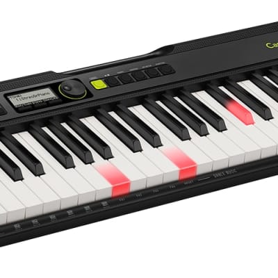 Casio LK-S250 Casiotone Portable Numeric Keyboard, 61 keys