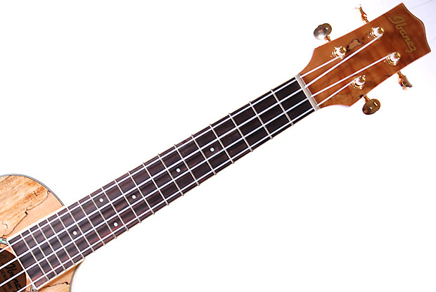 Ibanez uew20sme outlet