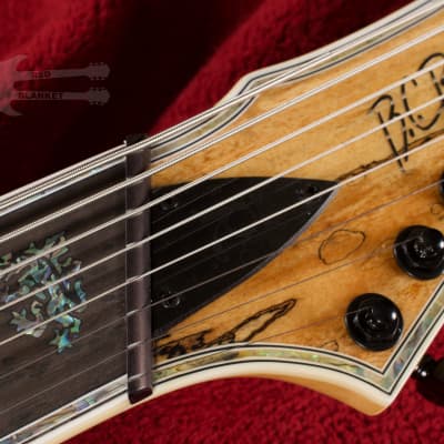 B.C. Rich Shredzilla 8 Prophecy Archtop Fanned Frets - Spalted Maple image 8