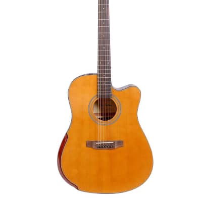 Glen Burton USA Deluxe Solid Top Cutaway Acoustic Dreadnought Guitar with Bevel Arm Rest Desert Sand for sale