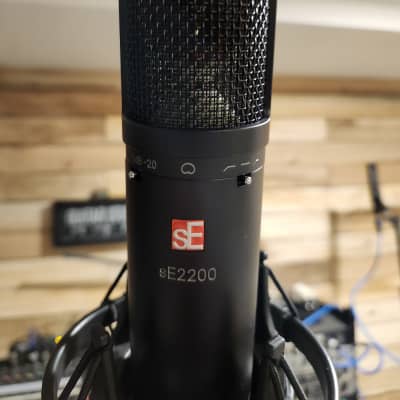 sE Electronics sE2200a II C Large Diaphragm Cardioid Condenser Microphone with Shockmount and Screen Shield image 2