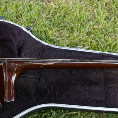 Trump Dreadnought with Vintage Case image 15