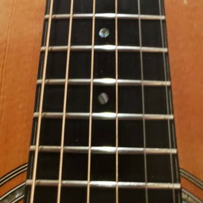 1990s Harvey Leach F29 Acoustic Guitar w/ Hard Case image 4